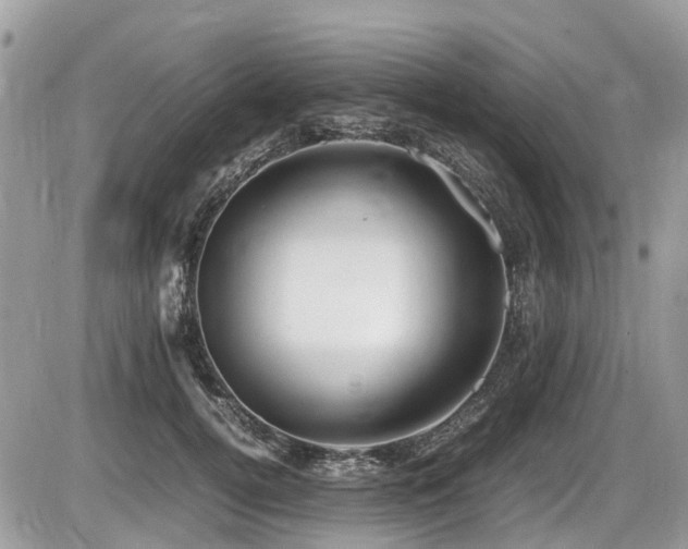 X0000087400752200704201307