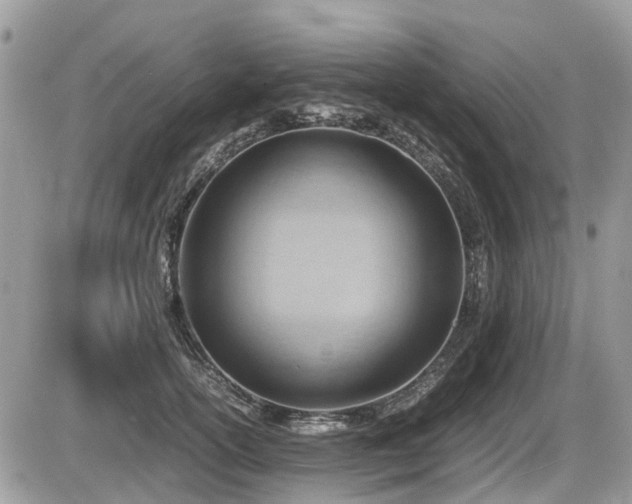X0000087400754200704201307