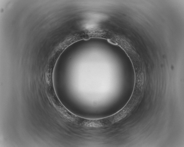 X0000087400755200704201307