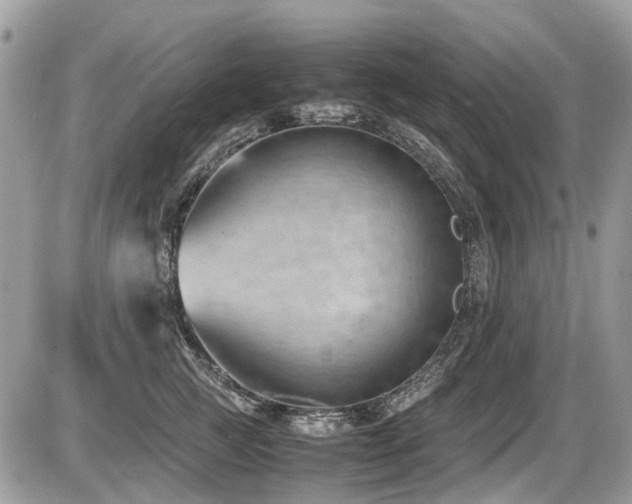 X0000087400761200704201307