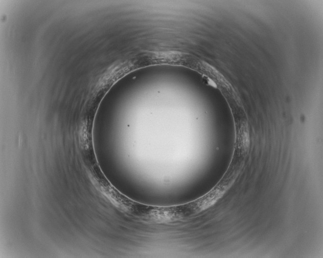 X0000087400764200704201307