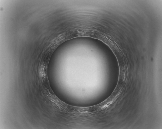 X0000087400770200704201306