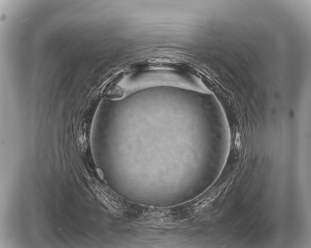 X0000087400771200704201306