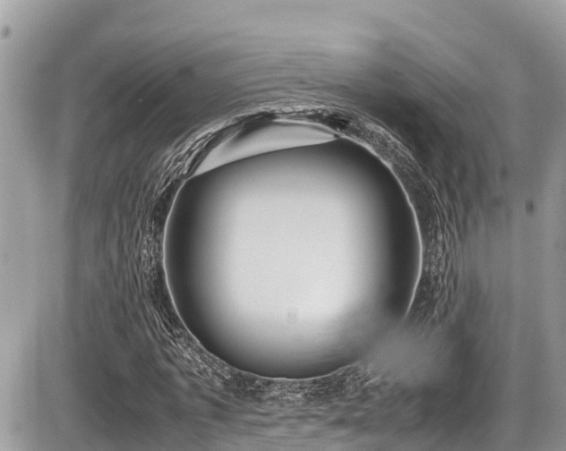 X0000087400773200704201306
