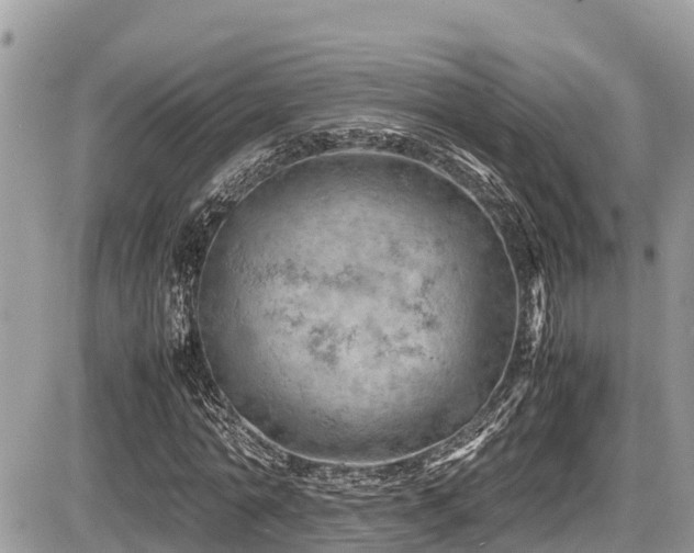 X0000087400774200704201306