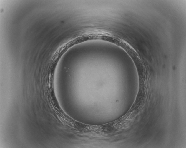 X0000087400775200704201306