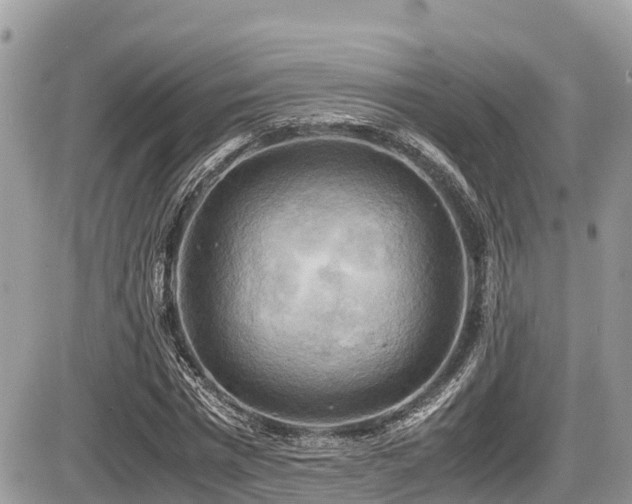 X0000087400777200704201306