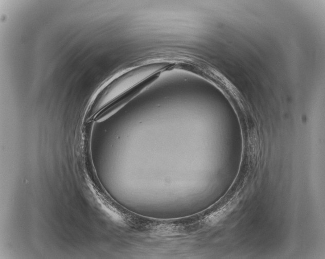 X0000087400779200704201306