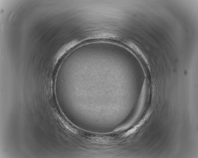 X0000087400781200704201306