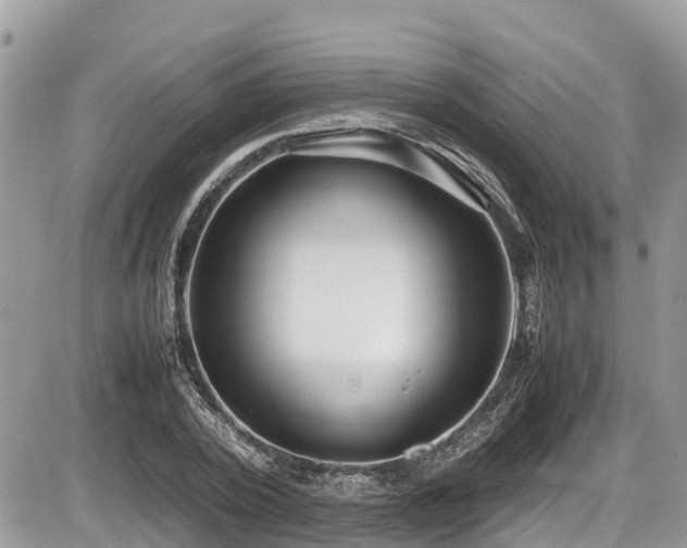 X0000087400784200704201306
