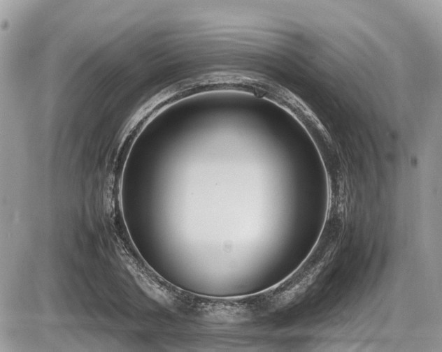 X0000087400786200704201306