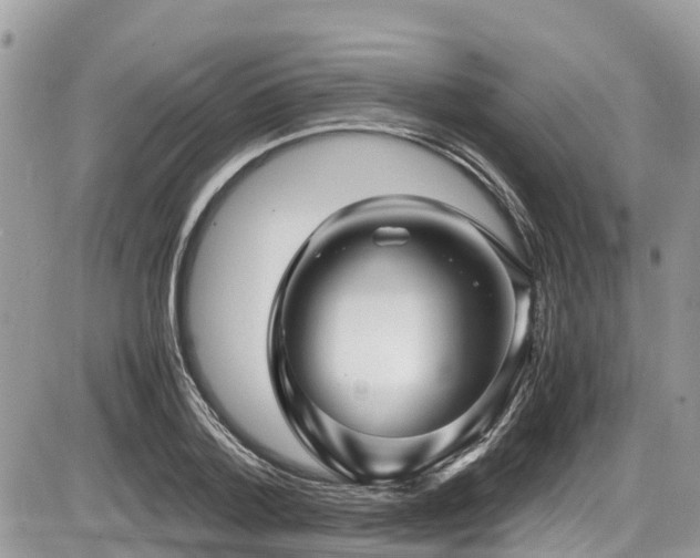 X0000087400788200704201306