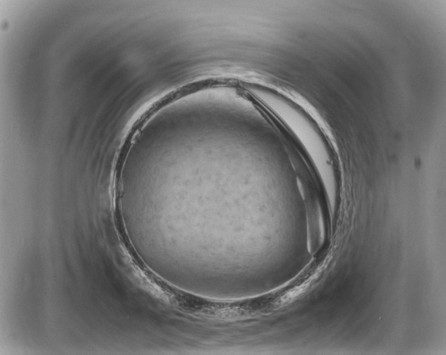 X0000087400791200704201306