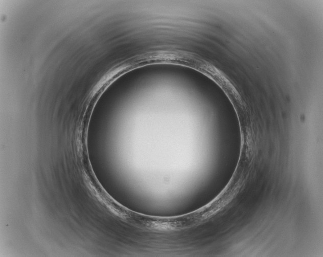 X0000087400794200704201306