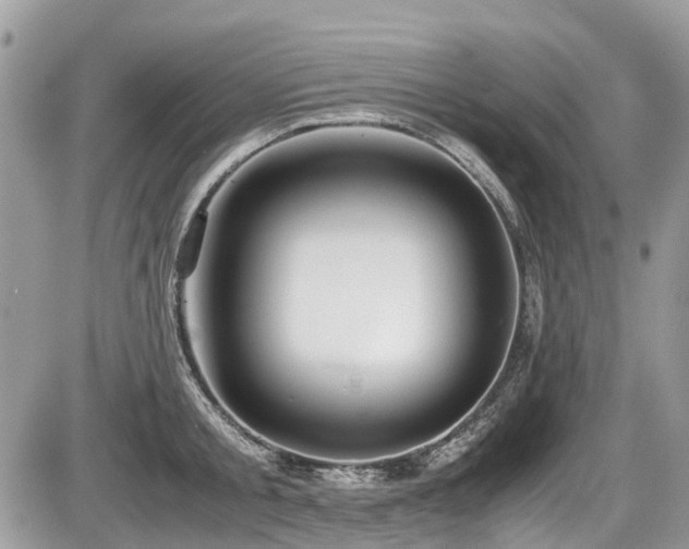 X0000087400805200704201306