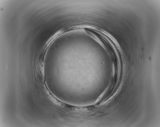 X0000087400809200704201306