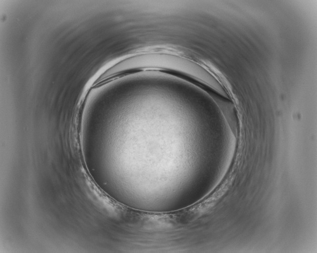 X0000087400816200704201306