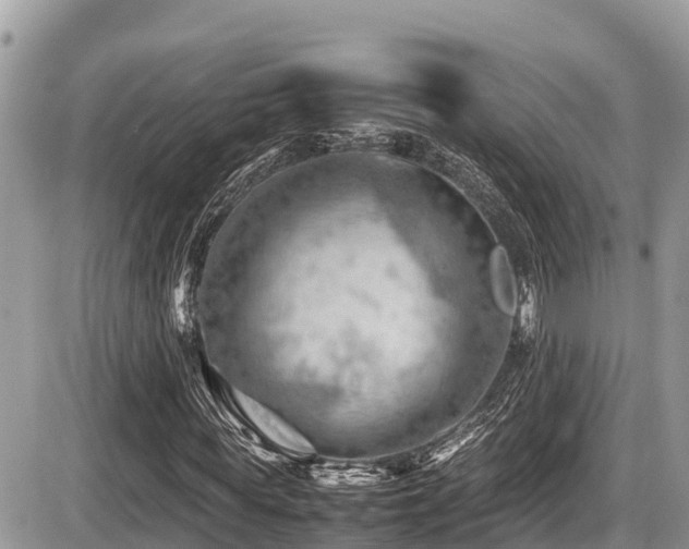 X0000087400819200704201305
