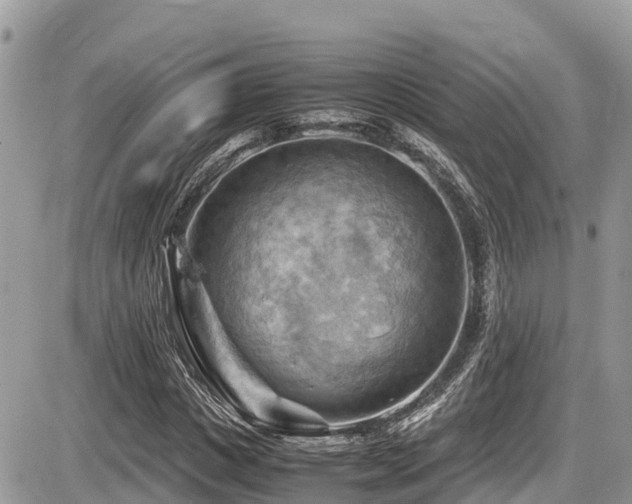 X0000087400825200704201305