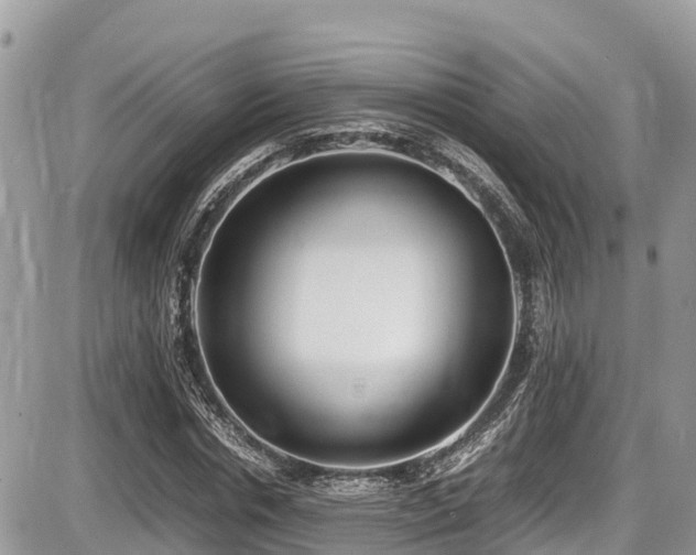 X0000087400826200704201305