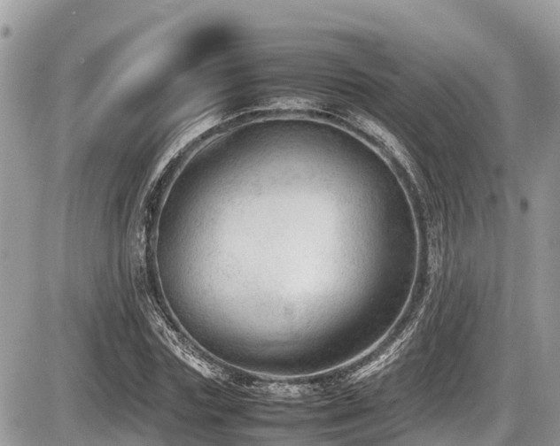 X0000087400827200704201305