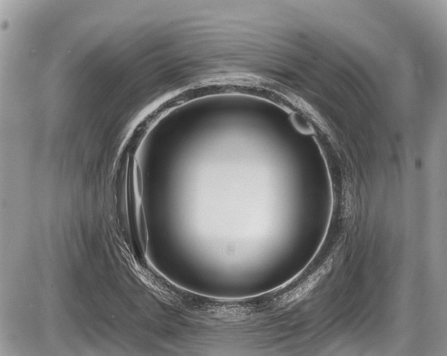 X0000087400830200704201305