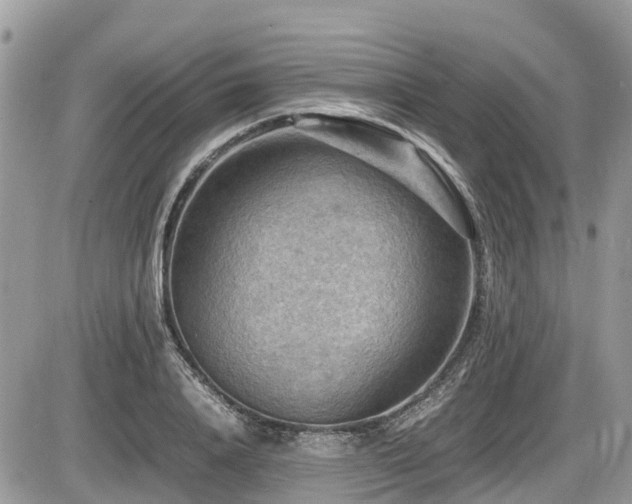 X0000087400840200704201305