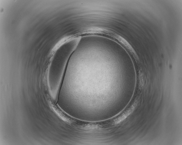 X0000087400842200704201305