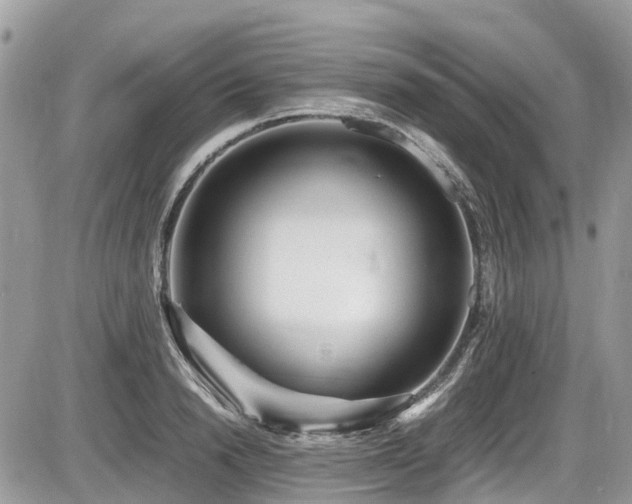 X0000087400846200704201305