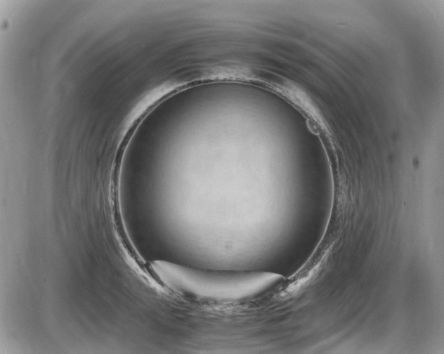 X0000087400847200704201305