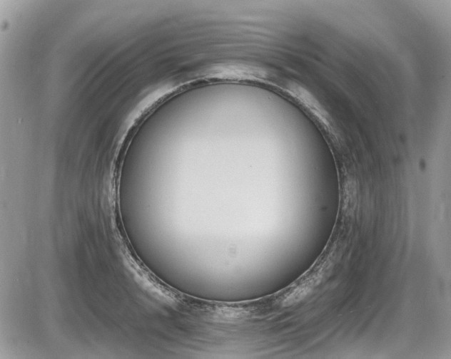 X0000087400848200704201305