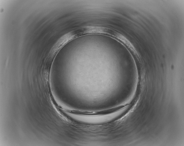 X0000087400849200704201305