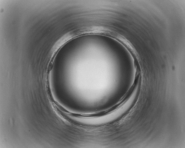X0000087400850200704201305