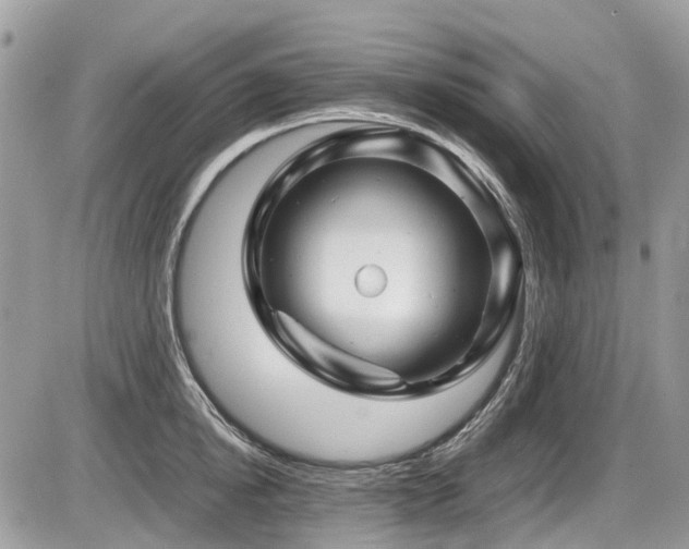 X0000087400854200704201305