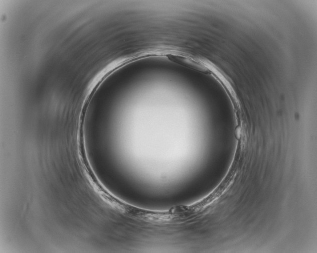 X0000087400861200704201306
