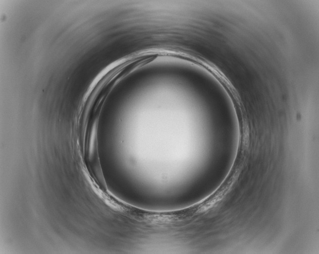 X0000087400862200704201306
