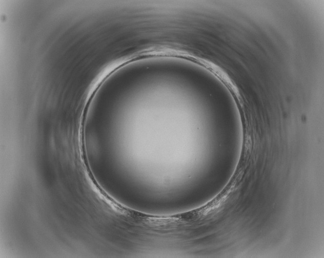 X0000087400863200704201306