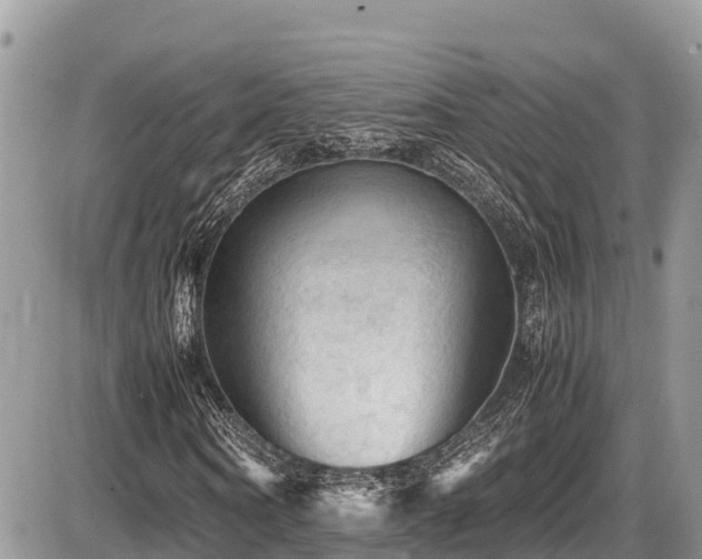 X0000087400866200704201305
