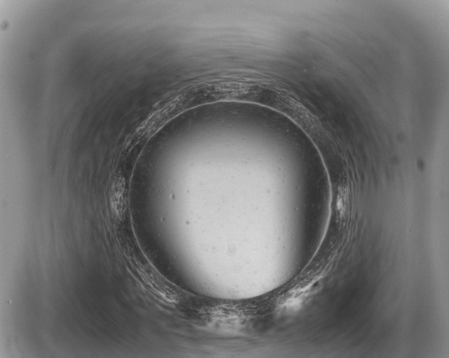 X0000087400867200704201305