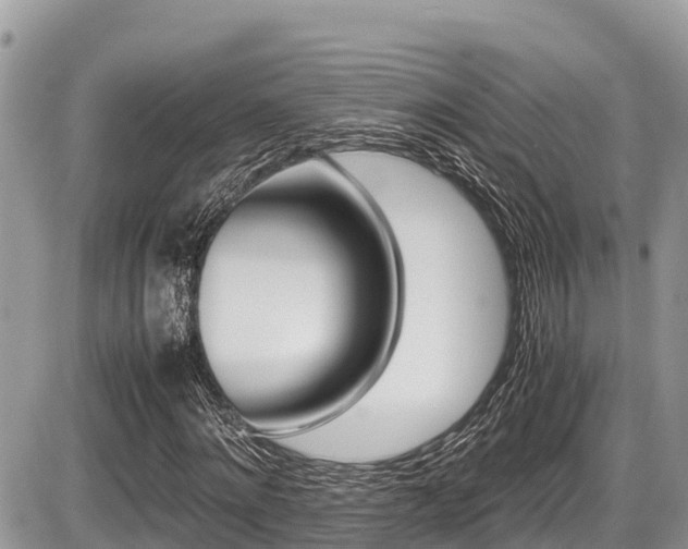 X0000087400868200704201305