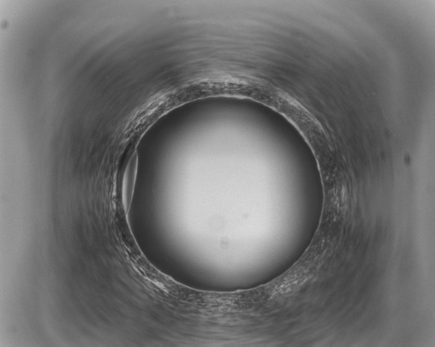 X0000087400870200704201305