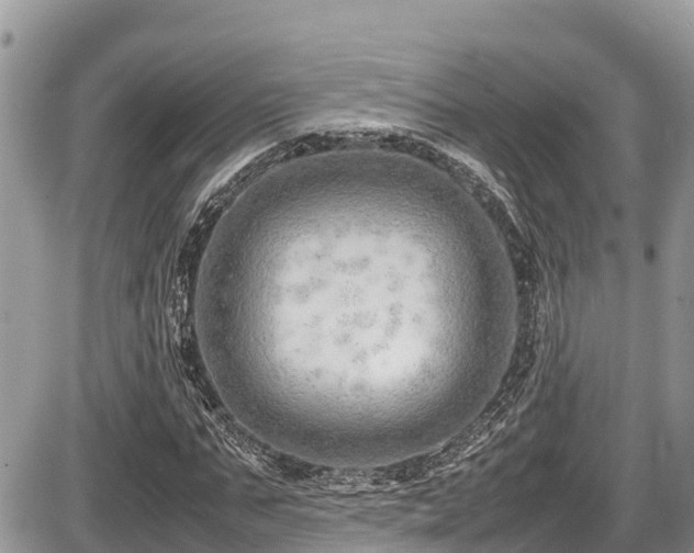 X0000087400871200704201305