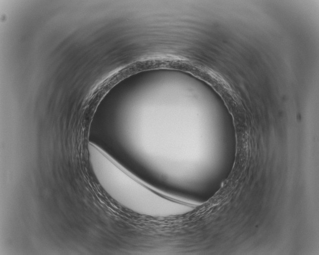 X0000087400872200704201305