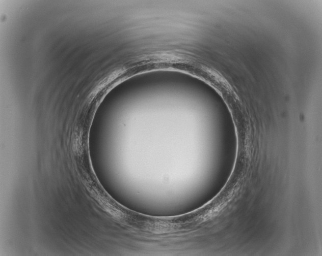 X0000087400873200704201305