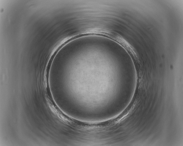 X0000087400892200704201304