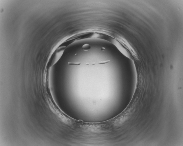 X0000087400900200704201304