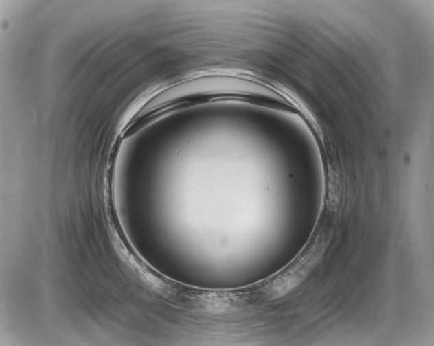 X0000087400906200704201304