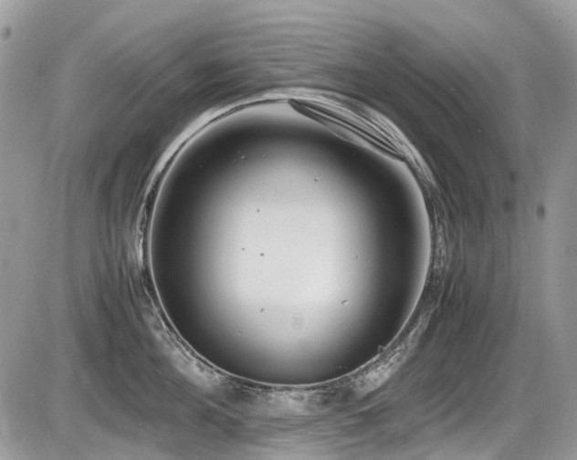 X0000087400908200704201304