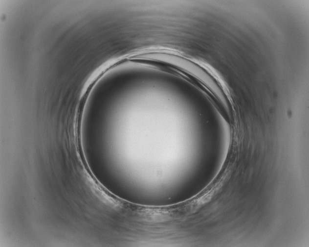 X0000087400910200704201304