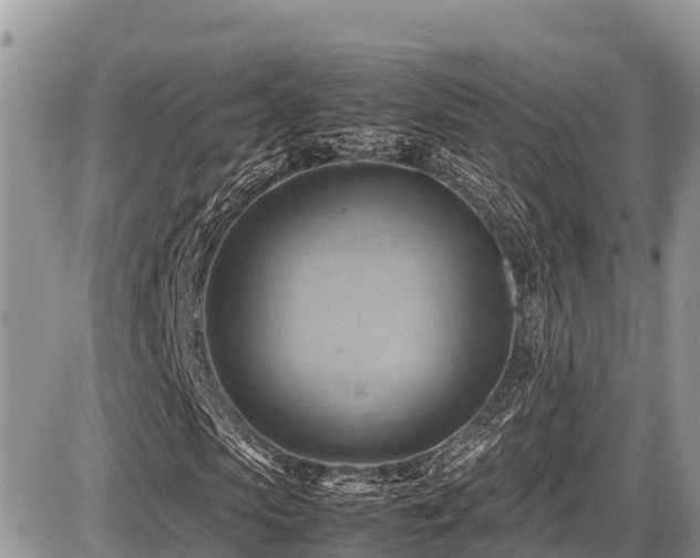 X0000087400913200704201303
